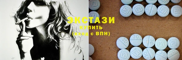 apvp Краснослободск