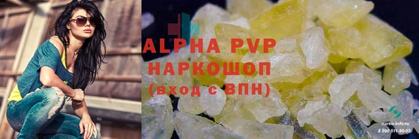 apvp Краснослободск