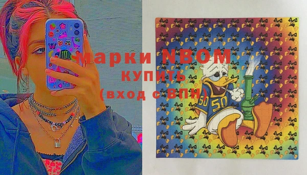 apvp Краснослободск